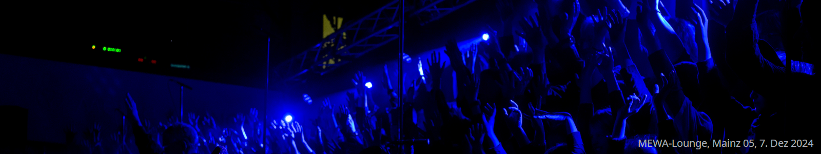 kirschlorbeer genolia container Kirschlorbeer Genolia ® (Prunus laurocerasus) | 100-125 cm mit Wurzelballen main image 1